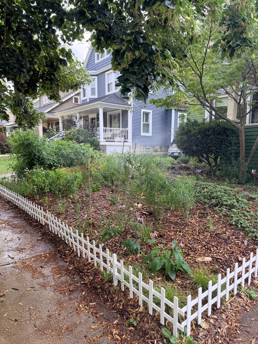 Native plant garden