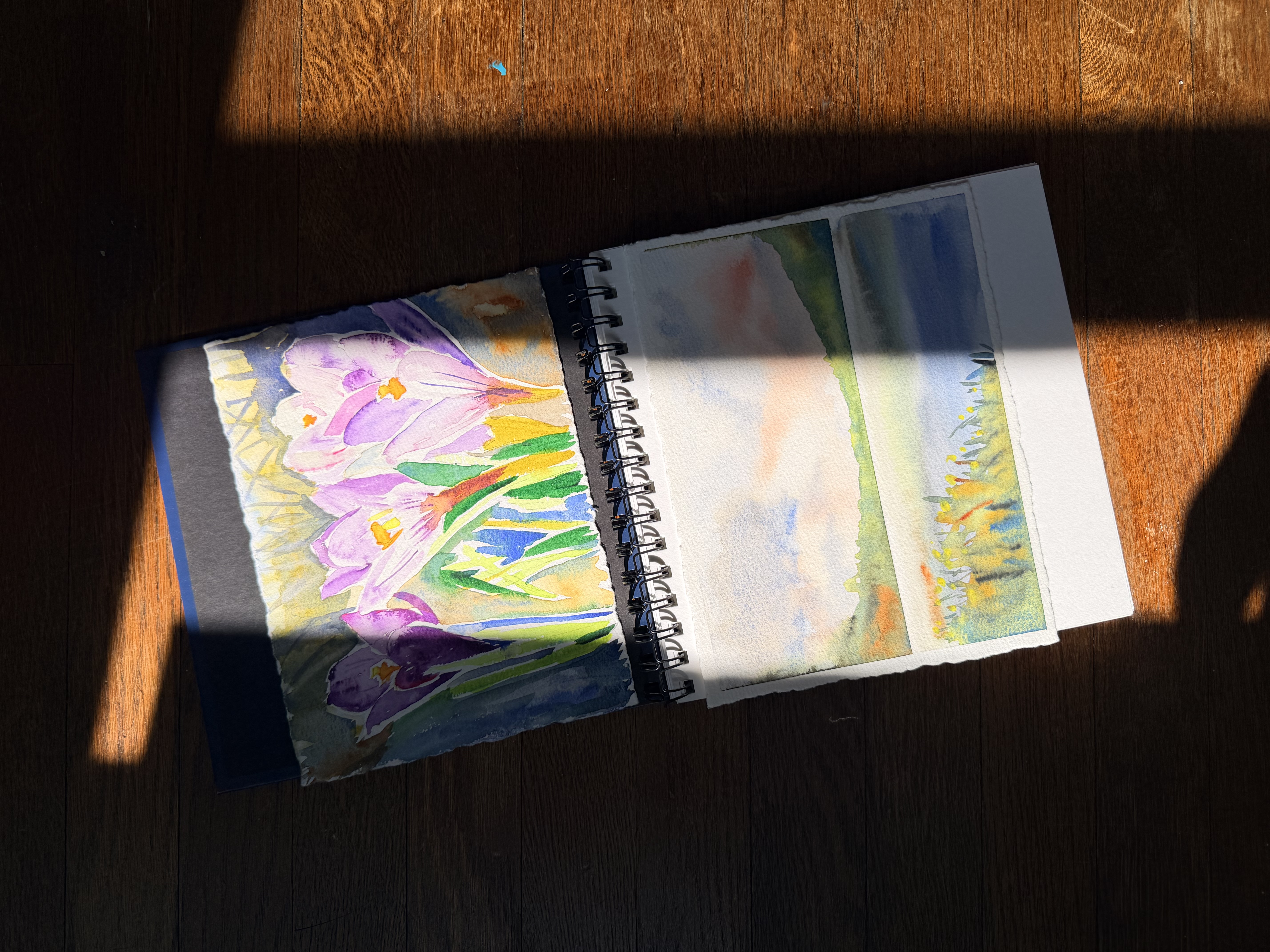 An open watercolor sketchbook with a painting of crocus flowers, sitting on a sunlit wood floor