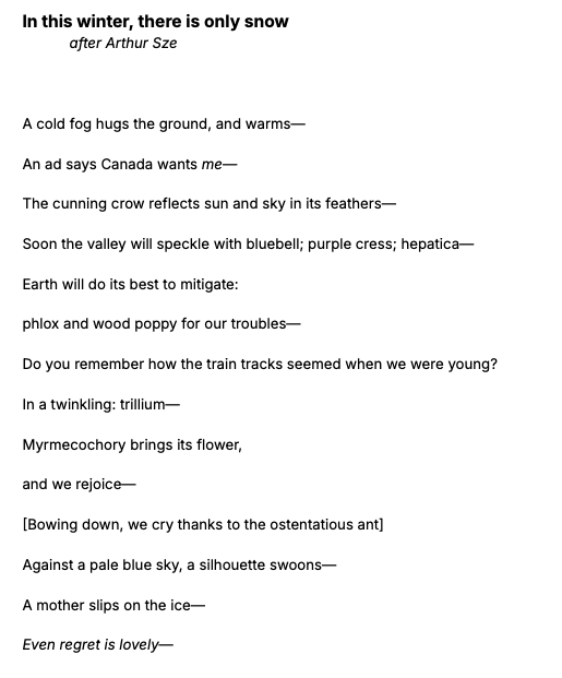 Poem, "In this winter, there is only snow," after Arthur Sze. A cold fog hugs the ground, and warms— An ad says Canada wants me— The cunning crow reflects sun and sky in its feathers— Soon the valley will speckle with bluebell; purple cress; hepatica— Earth will do its best to mitigate: phlox and wood poppy for our troubles— Do you remember how the train tracks seemed when we were young? In a twinkling: trillium— Myrmecochory brings its flower, and we rejoice— [Bowing down, we cry thanks to the ostentatious ant] Against a pale blue sky, a silhouette swoons— A mother slips on the ice— Even regret is lovely—